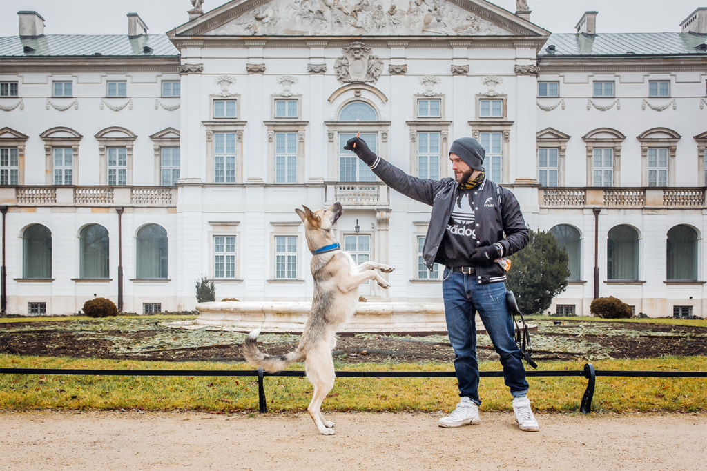 Fotografia psów Warszawa, czyli sesja zdjęciowa dla psa i jego właściciela. Magda Głogowska Portrecistka Zwierząt - psi fotograf
